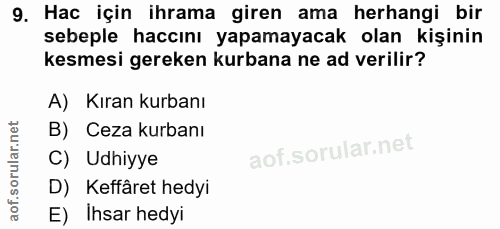 Soru 9