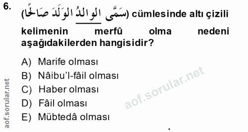 Soru 6