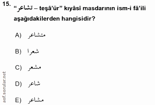Soru 15