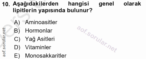 Soru 10