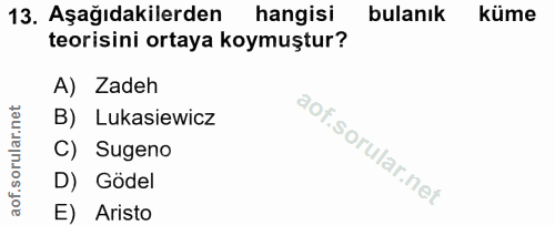 Soru 13