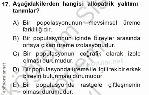 Soru 17