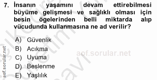 Soru 7
