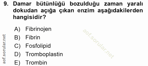 Soru 9