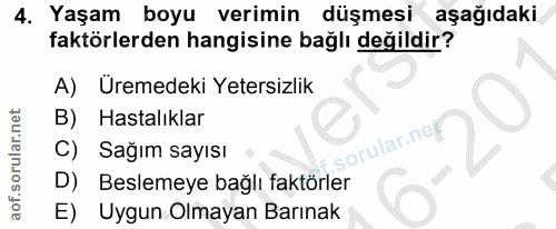 Soru 4