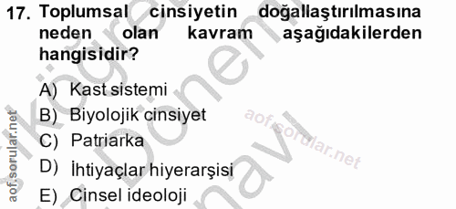 Soru 17