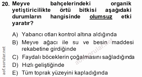 Soru 20