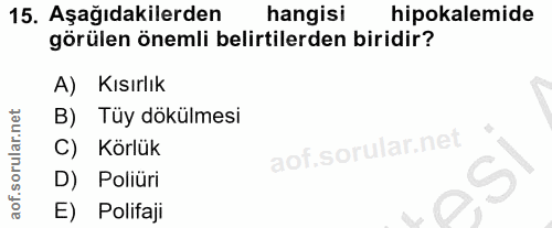 Soru 15