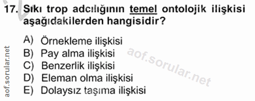 Soru 17