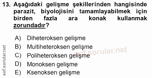 Soru 13