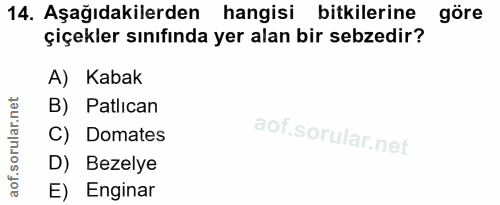 Soru 14