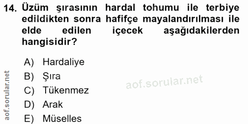 Soru 14