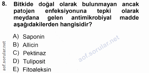 Soru 8