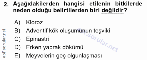 Soru 2
