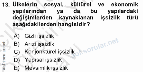Soru 13