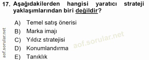 Soru 17