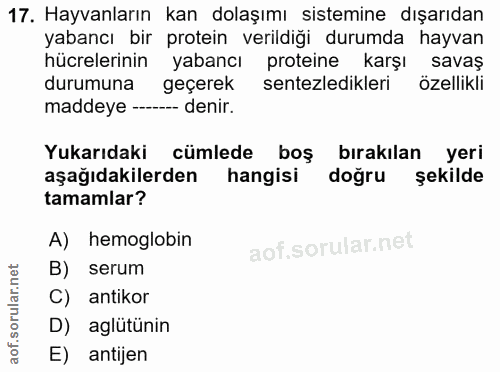 Soru 17