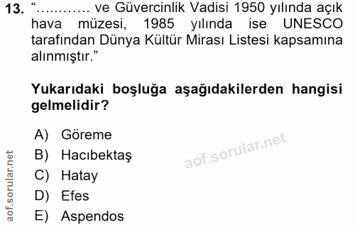 Soru 13
