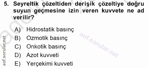 Soru 5