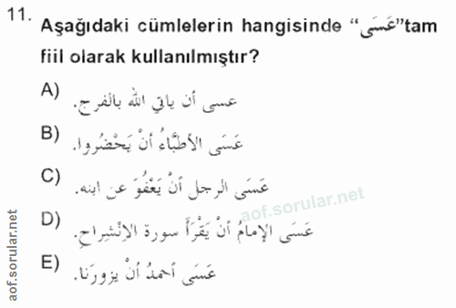 Soru 11