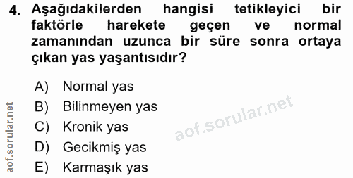 Soru 4