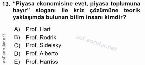 Soru 13