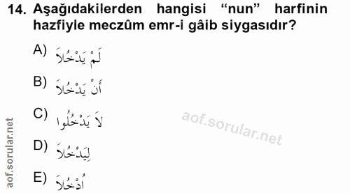 Soru 14