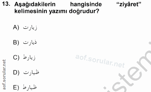 Soru 13