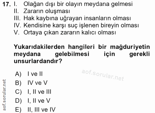 Soru 17
