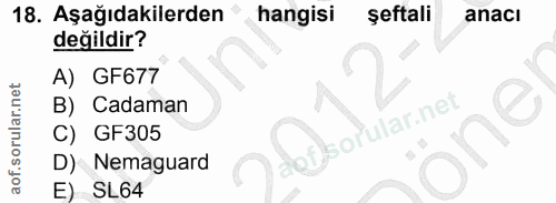 Soru 18