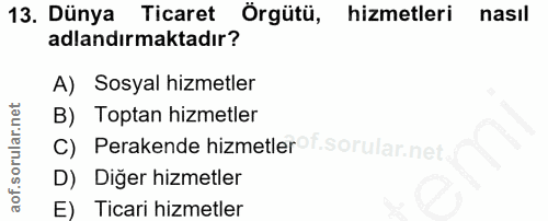 Soru 13