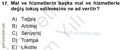 Soru 17
