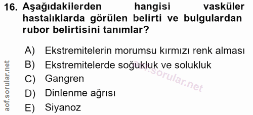Soru 16