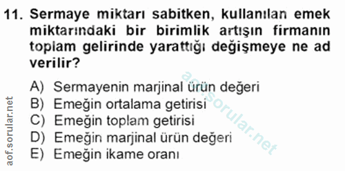 Soru 11