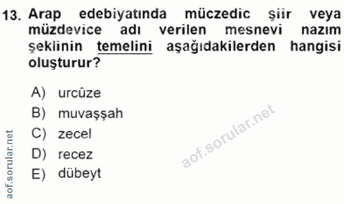 Soru 13