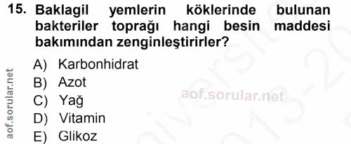 Soru 15