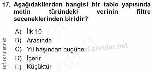 Soru 17