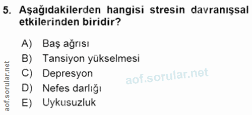 Soru 5