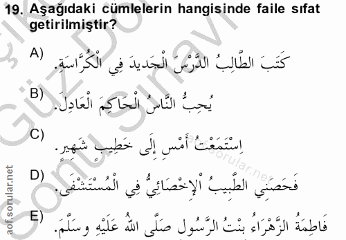 Soru 19