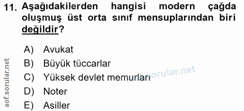 Soru 11