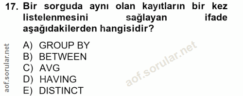 Soru 17