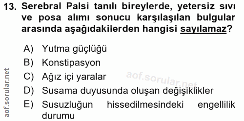 Soru 13