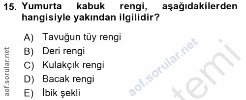 Soru 15