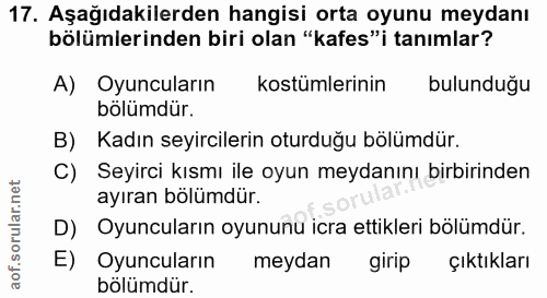 Soru 17