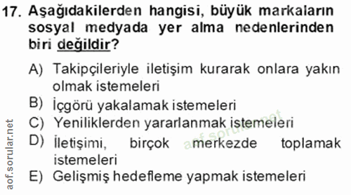 Soru 17