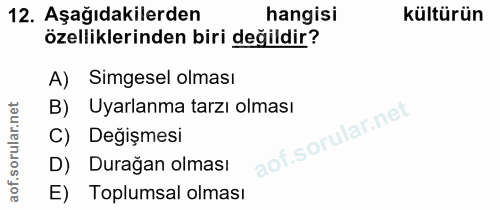 Soru 12