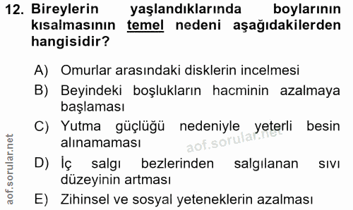 Soru 12