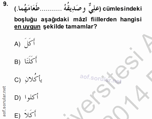 Soru 9