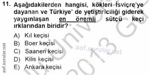 Soru 11