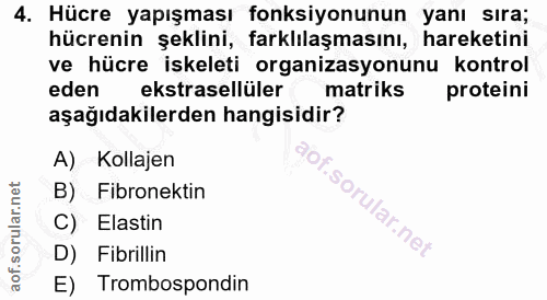 Soru 4